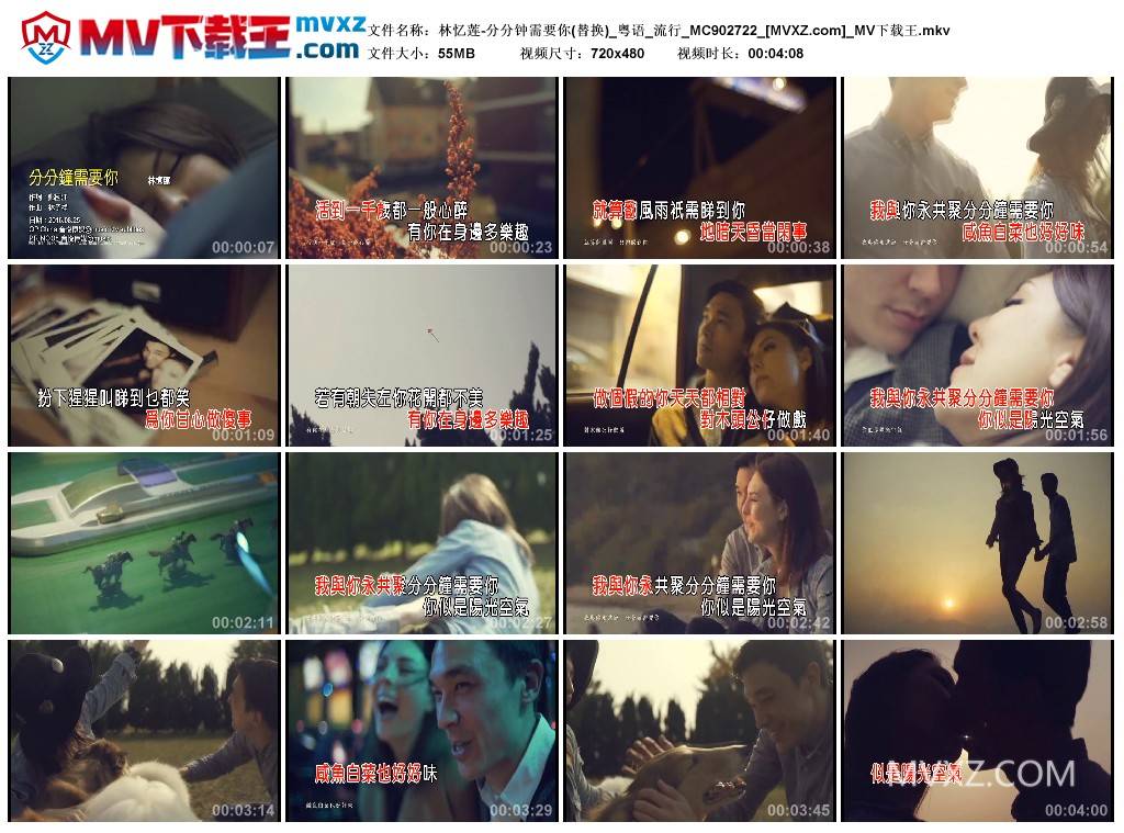 林忆莲-分分钟需要你(替换)_粤语_流行_MC902722